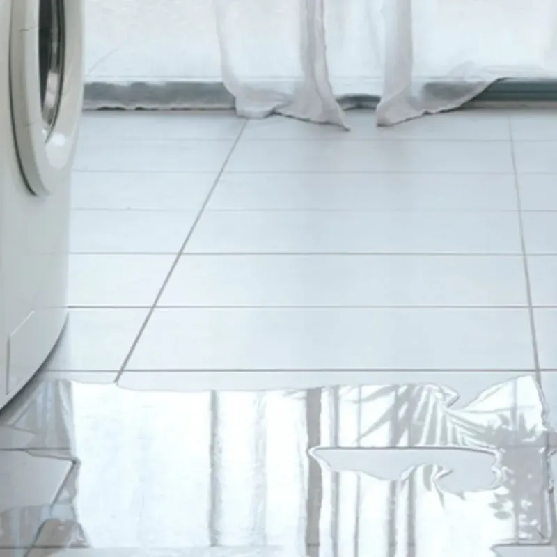 Appliance Leak Cleanup in Muskegon, MI