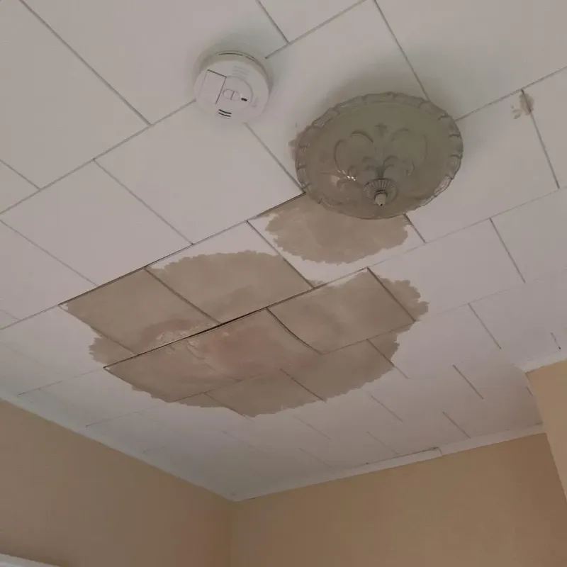 Ceiling Water Damage Repair in Muskegon, MI