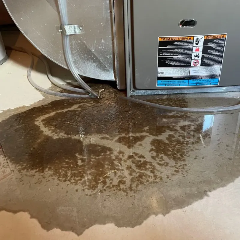 Pipe Burst and Leak Restoration in Muskegon, MI
